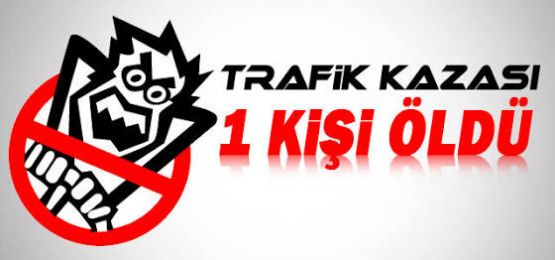 Trafik Kazası 1 Ölü, 2 Yaralı