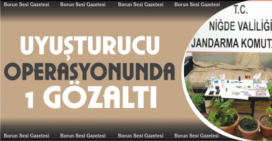 Uyuşturucu Operasyonunda 1 Kişi Gözaltına Alındı