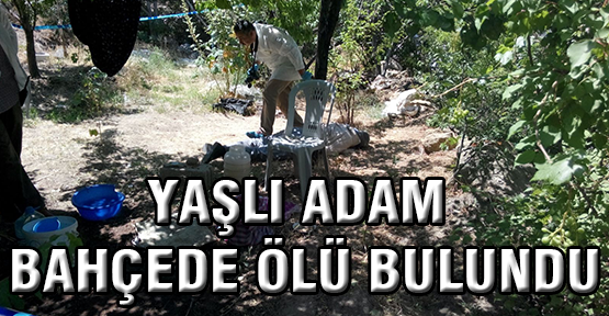Yaşlı Adam Bahçede Ölü Bulundu
