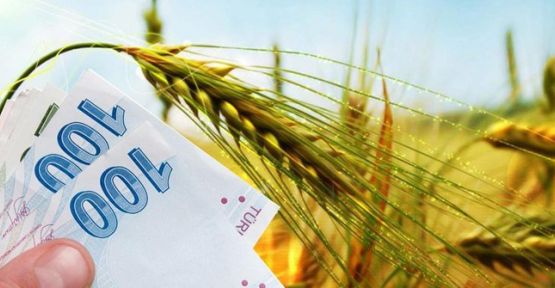 Yem Bitkileri Destekleme Ödemesi Askıya Çıktı