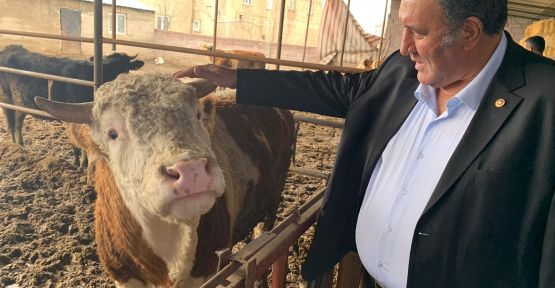 “Yem fiyatlarındaki artış hayvancılığı tehdit ediyor”