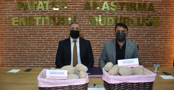 Yerli iki patates tohumunun daha satışı yapıldı