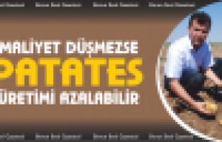 Kenar, Maliyet düşmezse patates üretimi azalabilir